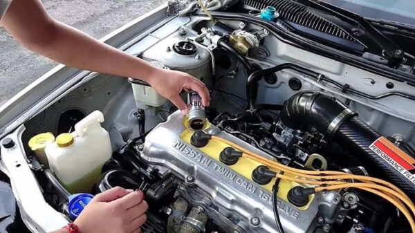 Resurs Total Engine de 50 Gr